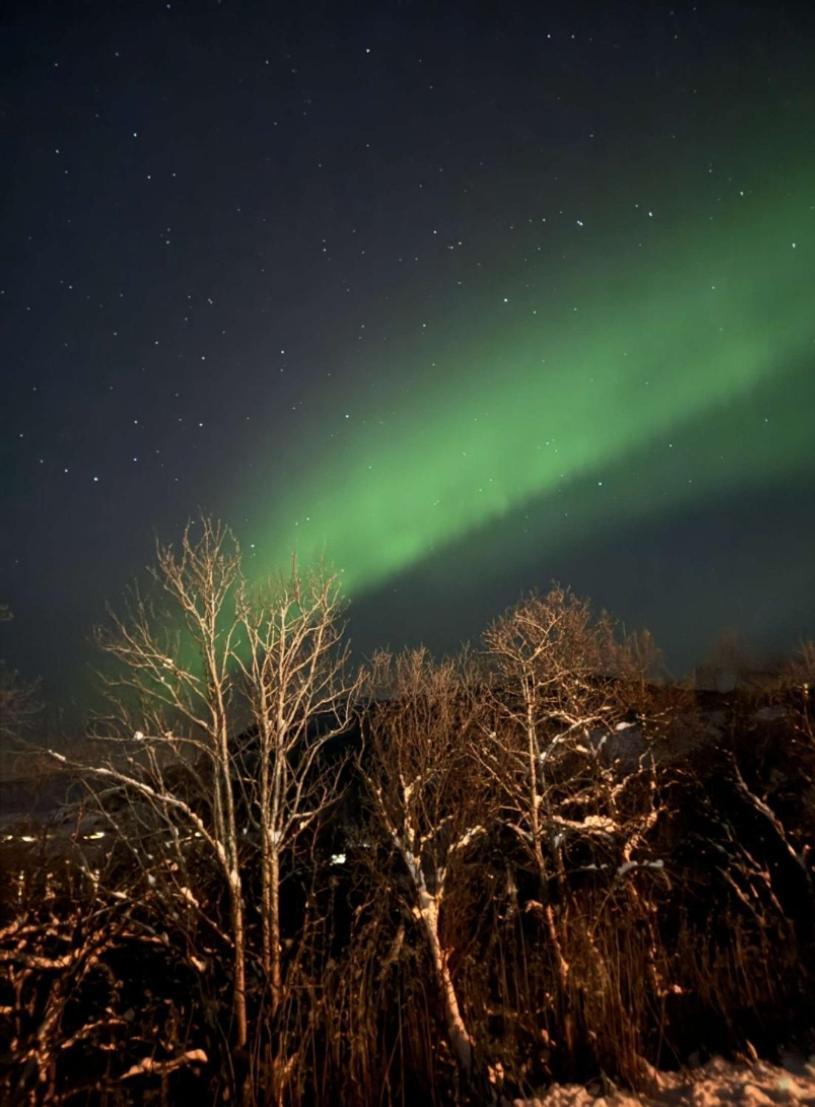 Koselig Leilighet I Narvik Sentrum 5 Soveplasser Gratis Parkering Og Gratis Internett Zewnętrze zdjęcie