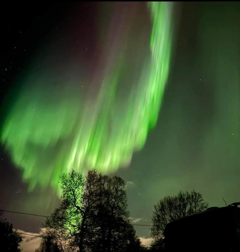 Koselig Leilighet I Narvik Sentrum 5 Soveplasser Gratis Parkering Og Gratis Internett Zewnętrze zdjęcie
